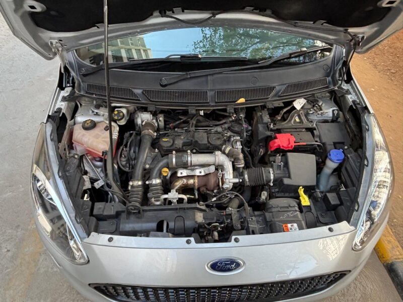 '21 Ford Figo Stage 2