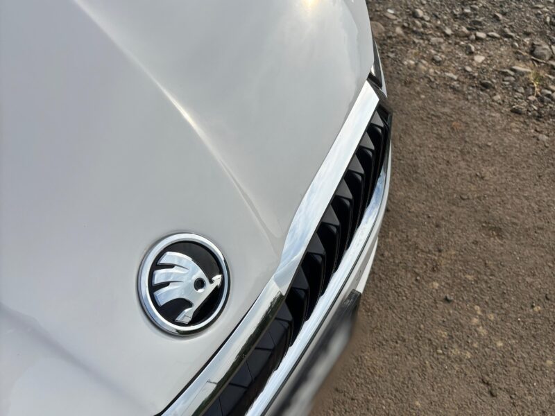 '22 Skoda Octavia Style 2.0 TSI.